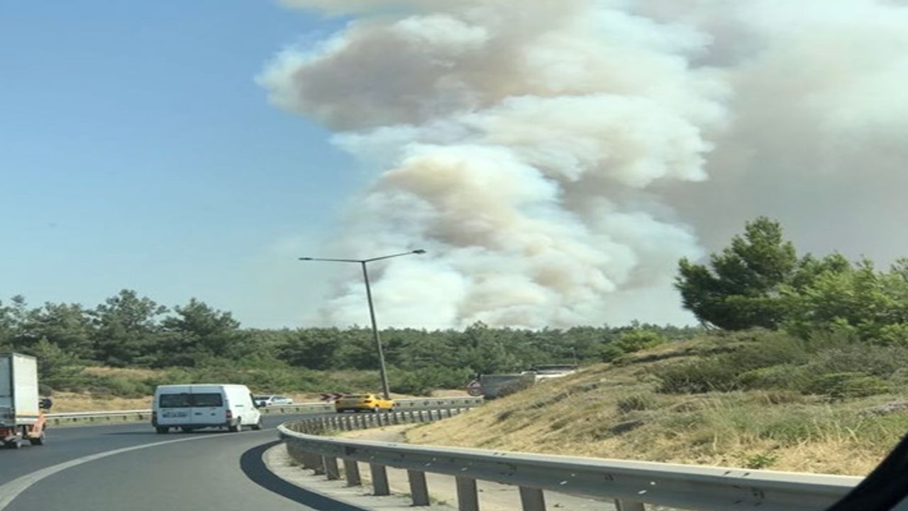 İzmir Kaynaklarda  Büyük Yangın