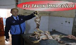 İzmir'de Kaçak Tavuk Operasyonu
