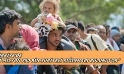Türkiye uzun vadede bir göçmen ülkesi haline gelebilir