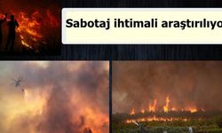 İzmir'deki orman yangınında sabotaj ihtimali araştırıyor