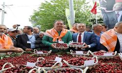 İzmirliler Belenbaşı Kiraz Festivali’nde coştu