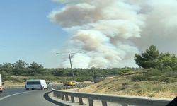 İzmir Kaynaklarda  Büyük Yangın