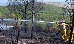 Aliağa Orman Yangını