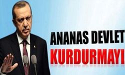 Başbakan Erdoğan: 'Ananas devleti kurdurmayız' 