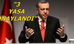 Cumhurbaşkanı Erdoğan, 3 yasayı onayladı