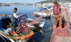 Foça'da deniz ve kıyılar artık koruma altında