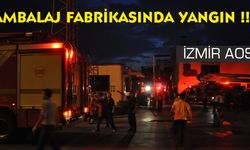 İzmir AOSB'de Fabrika Yangını 