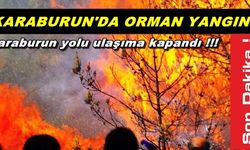 İzmir Karaburun'da Orman Yangını