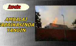 İzmir'de Ambalaj Fabrikasında Yangın