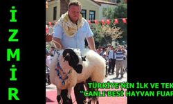 İzmir'de ilk "Canlı besi hayvan fuarı" düzenleniyor 