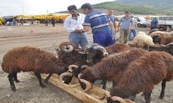 İzmir'de Kurban Satışları 