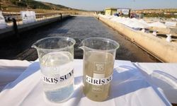İzmir'in arıtma suyunda "tatlı balıklar" yüzüyor 
