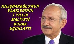 Kılıçdaroğlu 1Yılda Servet Harcayacak