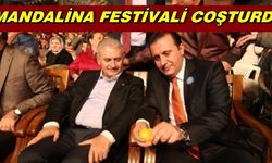 Mandalina Festivali Coşturdu
