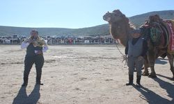 Menderes'te deve güreşleri festivali