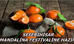 Seferihisar'da 'Turuncu' Festival 