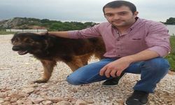 Şehit polisin acısı Bursa'ya düştü