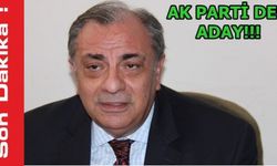 Tuğrul Türkeş AK Parti'den aday
