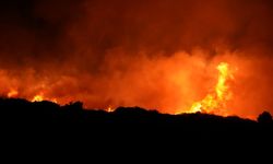 Çanakkale'de ki Orman Yangını Köylere Ulaştı