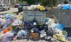 İzmir'in çöple dolu sokakları Hindistan'ı andırdı