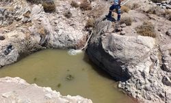 İzmir'de yaban hayvanları için tankerle su taşındı