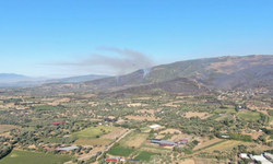 Ödemiş'in dağları siyaha büründü