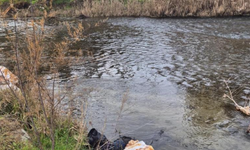 Ege Ekspresi'nin çarptığı yaya hayatını kaybetti