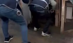 Kümesten gelen öksürük sesi firariyi yakalattı