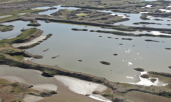İzmir'de Yağışlar Barajlara Nefes Aldırdı