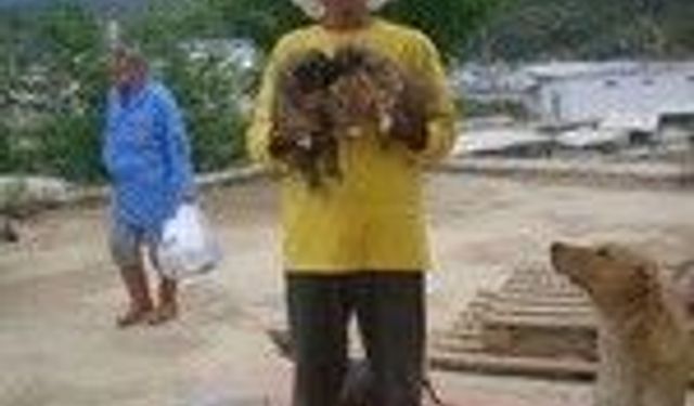 İzmir Örnekköy Celal Üner Hayvan Barınağı