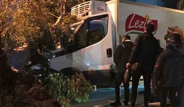 İzmir'de Rüzgar Ağacı Arabanın Üzerine Devirdi