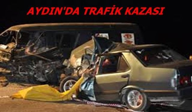 Aydın'da Trafik Kazası 