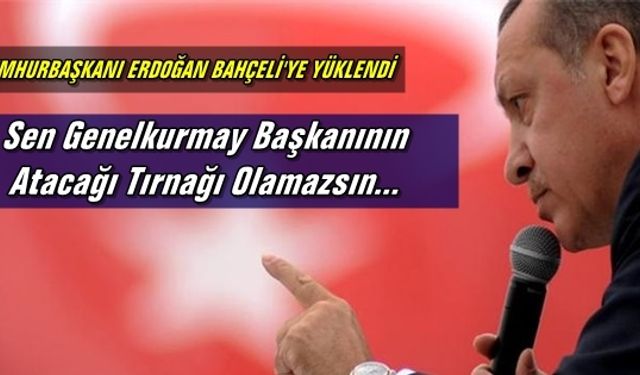 Erdoğan Bahçeliye Yüklendi