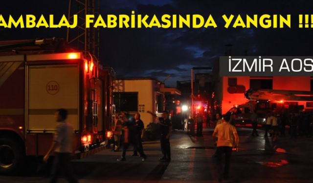 İzmir AOSB'de Fabrika Yangını 