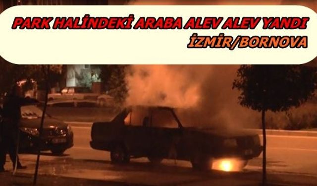 İzmir'de park halindeki araba alev alev yandı 