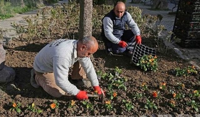 Karşıyaka'ya 200 Bin Kış Çiçeği