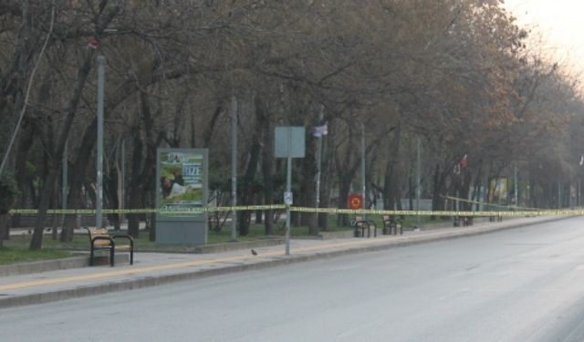 Parka  konulan bomba düzeneği polisi alarma geçirdi