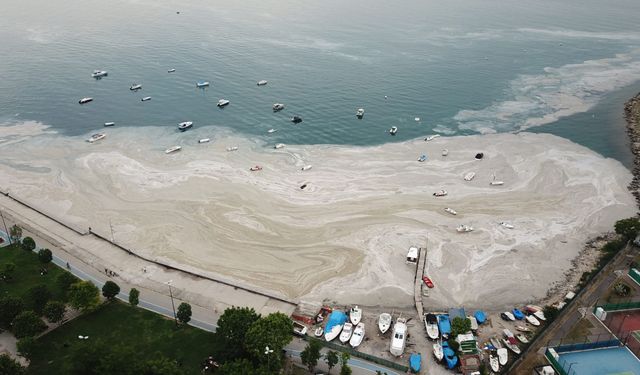 Müsilaj Marmara’ya geri mi döndü?