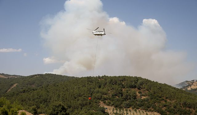 Bornova'da korkutan orman yangını
