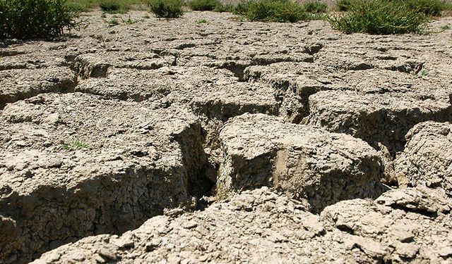 İzmir ve Egenin 160 Yıllık Kuraklık Haritası Çıkarıldı