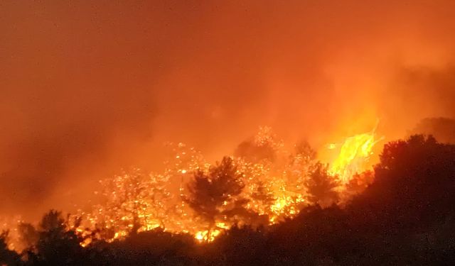 Manisa'daki orman yangını 86'ncı saatinde