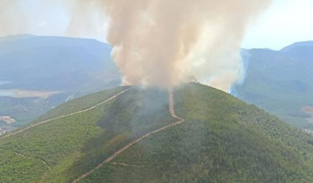 İzmir'de evini kundaklayıp, ormanı ateşe veren şahıs tutuklandı