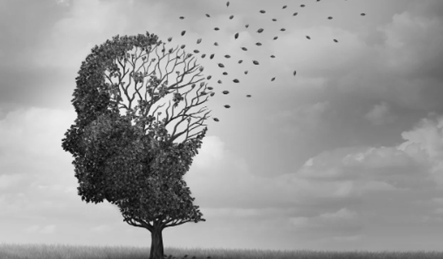 Alzheimer basit unutkanlıklarla başlıyor