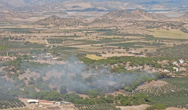 İzmir'de ormana sıçrayan yangın söndürüldü