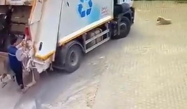 Çiğli Belediyesi çöp kamyonu köpeği ezdi..