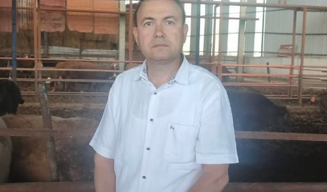İş Adamı Sattığı Kurbanın Boynuz Darbesi İle Yaşamını Yitirdi