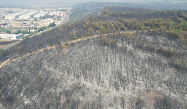 Buca'daki yangının tahribatı havadan görüntülendi