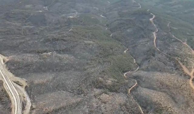 Bursa'da 5 Gün Süren Yangın Sonrası Acı Görüntü..