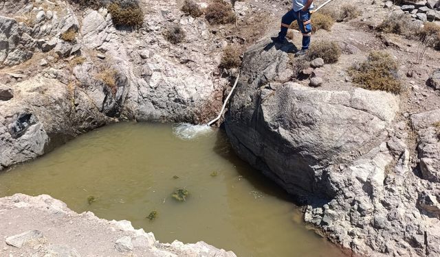 İzmir'de yaban hayvanları için tankerle su taşındı