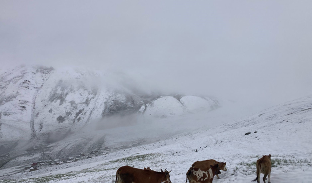 Rize’ye Temmuz Ayında Kar Yağdı